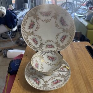 1960s Alboth & Kaiser Bavaria Cup, Saucer and Plate Floral Set West Germany (sh5